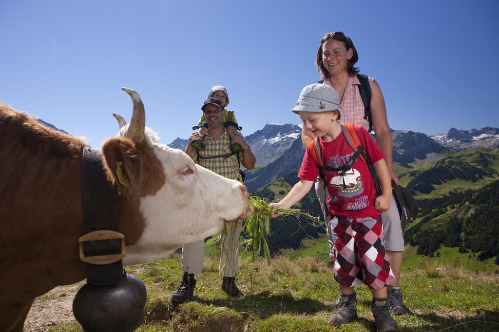 Hotel Hari Im Schlegeli Adelboden Extérieur photo