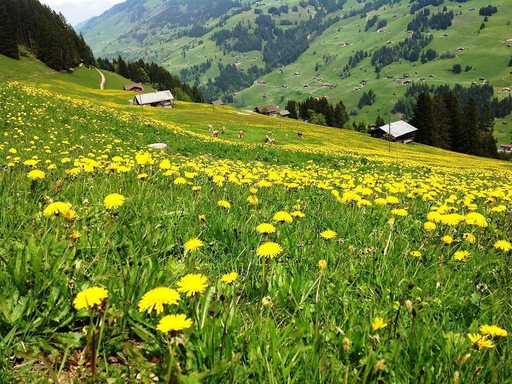 Hotel Hari Im Schlegeli Adelboden Extérieur photo