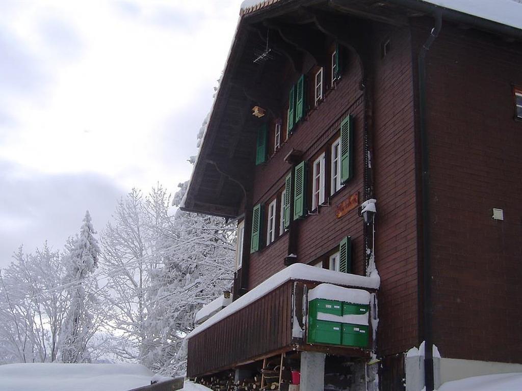 Hotel Hari Im Schlegeli Adelboden Extérieur photo