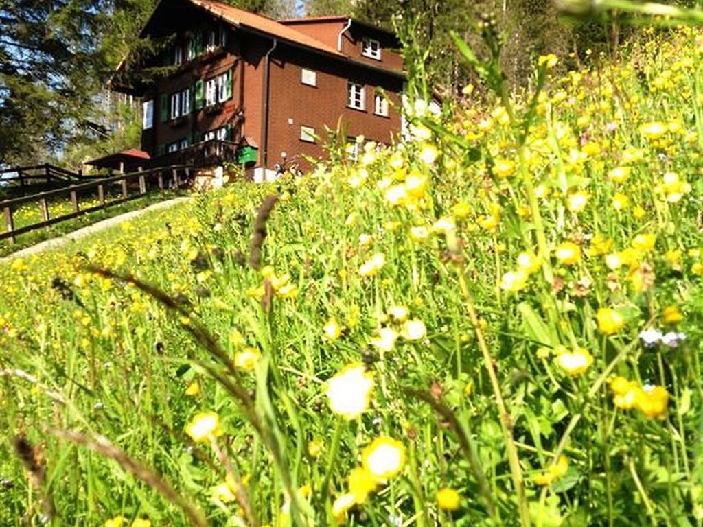 Hotel Hari Im Schlegeli Adelboden Extérieur photo